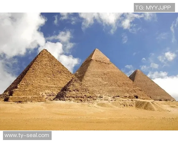 探索摩尔特里的历史与文化魅力，揭示其在现代社会中的重要性与影响力